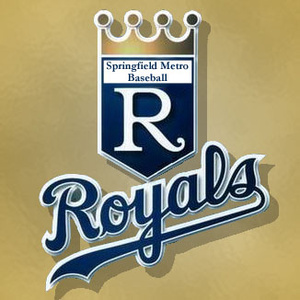 Springfield Metro Baseball League